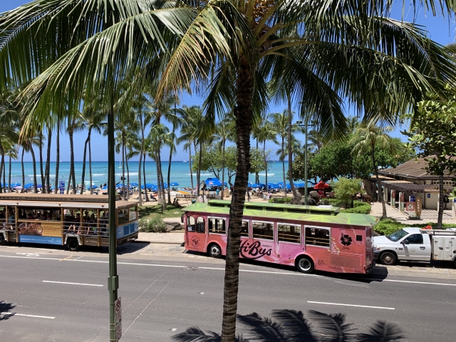 ハワイのトロリー！ザ・バスとの違い、何種類あるの？ツアー参加者で