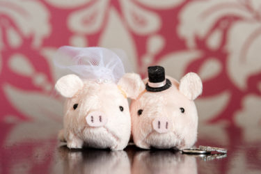 ハワイウェディングで決めること！オリジナリティ溢れる挙式とパーティー（牧場挙式をモデルに）