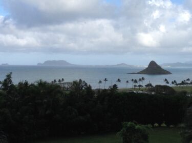 【ハワイ映画】 50回目のファースト・キス！あきらめたくなるくらい悲しいことも笑いと工夫で乗り越えよう（あらすじ・見どころ）