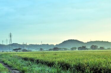 【2021年度ふるさと納税】節約しながら、ふるさとへの思いを実現。仕組みとおすすめ返礼品をご案内