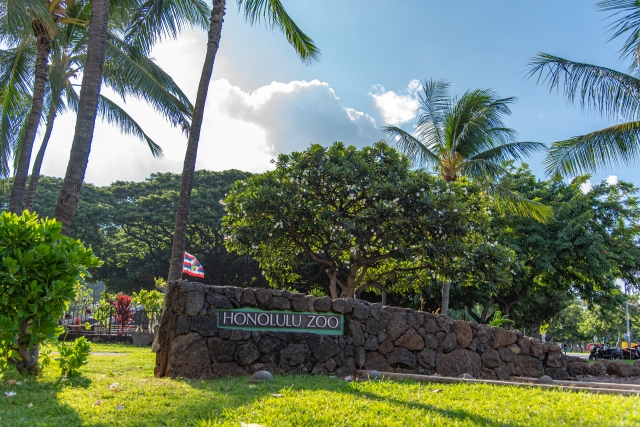 ハワイ旅行 アクティビティ14選 子供と楽しめるおすすめを集めてみました オアフ島 ハワイに行ったら人生変わった