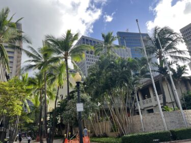 【ハワイの街シリーズ】ダウンタウン・チャイナタウンの歴史的建造物・ビジネス街・レストラン・セレクトショップを紹介