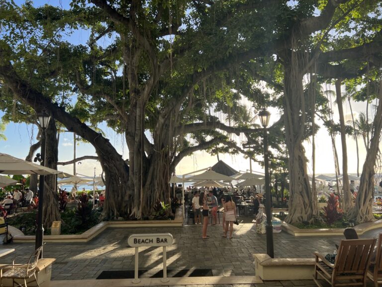 The Beach Bar オンザビーチのバーで過ごすハワイのひととき【モアナサーフライダー】│ハワイに行ったら人生変わった