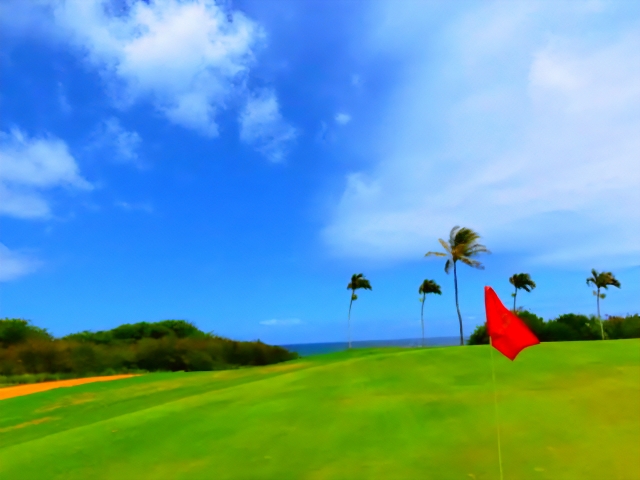 hawaii golf