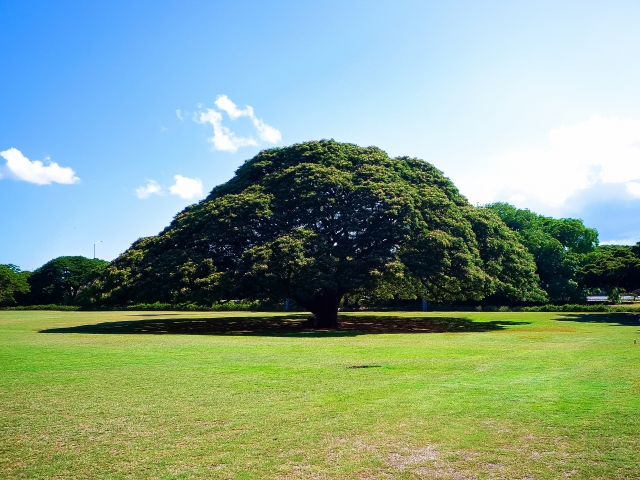 moanalua